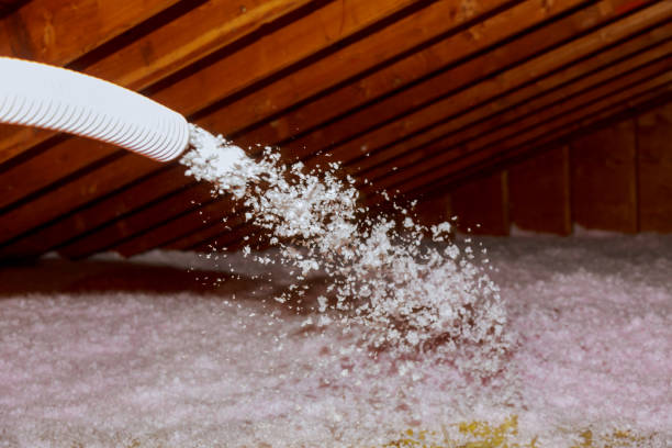 Types of Insulation We Offer in Long Neck, DE