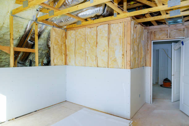 Best Cellulose Insulation in Long Neck, DE