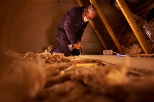Best Specialized Insulation Services in Long Neck, DE